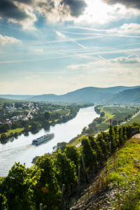 Cruise ship in backlight on the Moselle river near Wintrich, Moselle valley, Rhineland-Palatinate, Germany Cruise ship in backlight on the Moselle river near Wintrich, Moselle valley, Rhineland-Palatinate, Germany